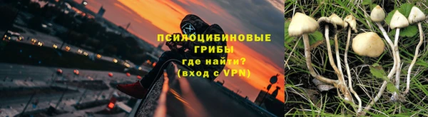 2c-b Нея