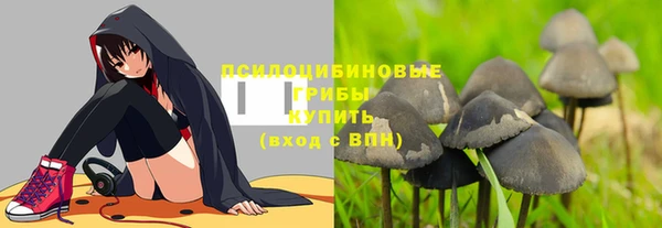 круглые Новозыбков