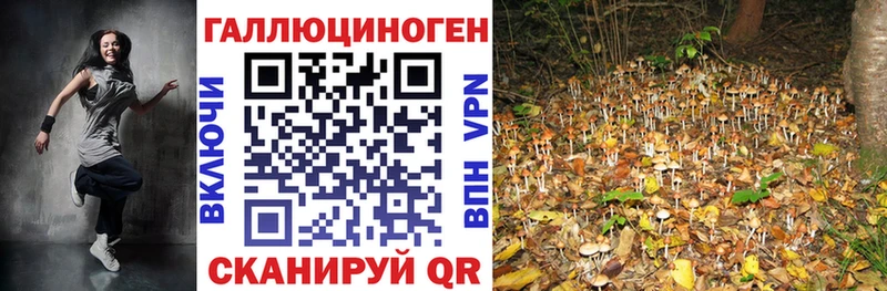 как найти закладки  Касимов  Псилоцибиновые грибы мицелий 