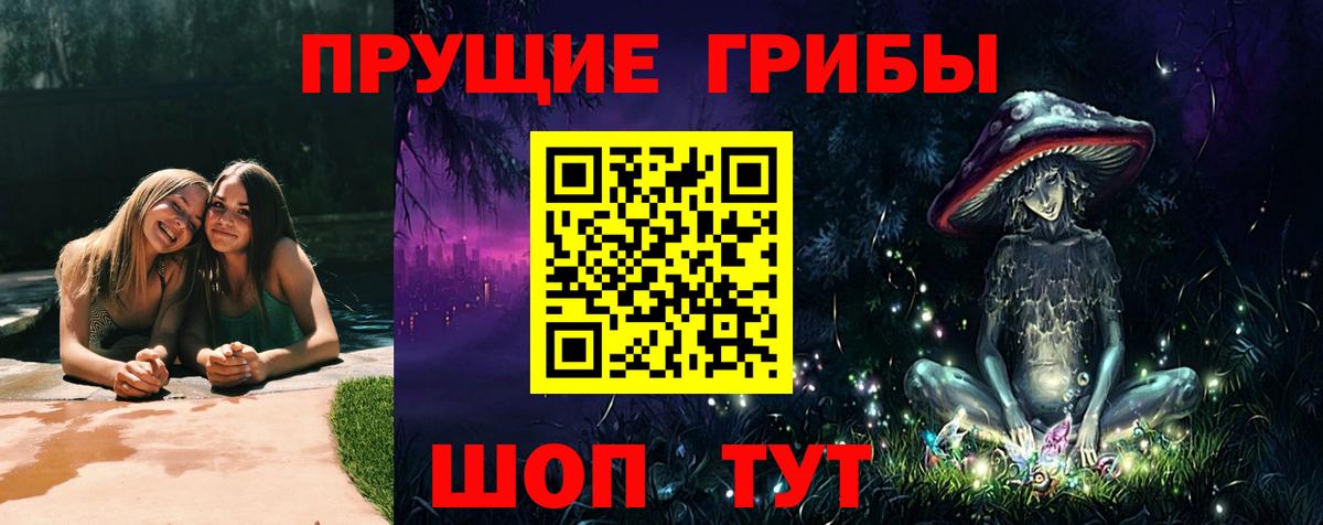 Галлюциногенные грибы прущие грибы  Касимов 