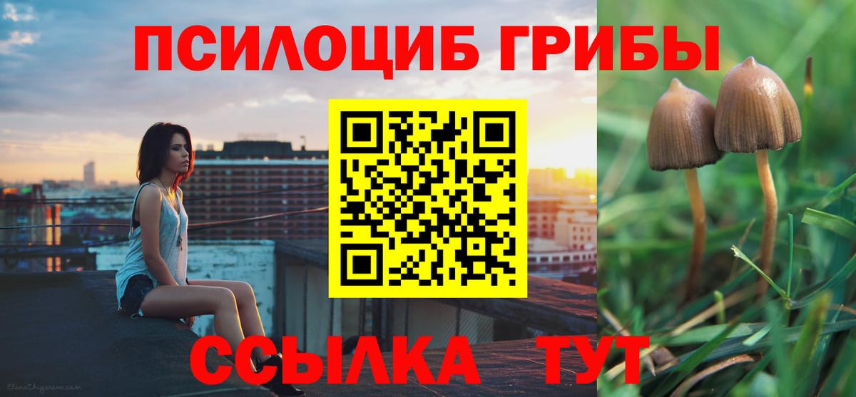 как найти закладки  Галлюциногенные грибы GOLDEN TEACHER  Вход с VPN  Касимов 